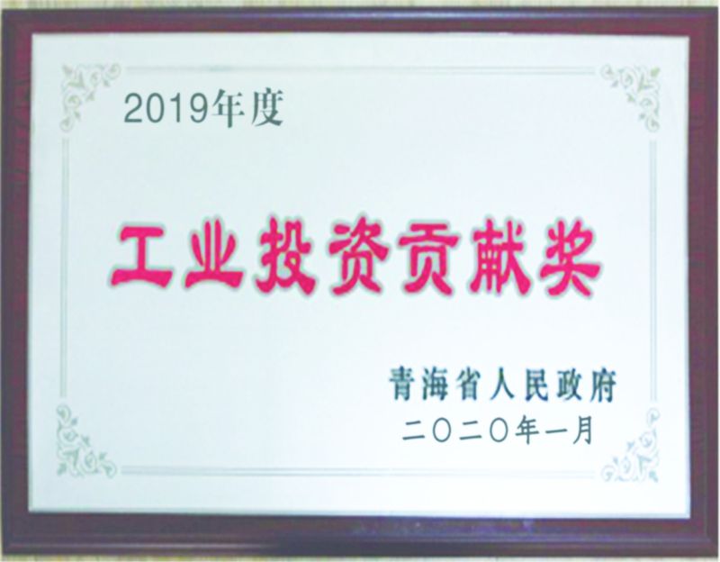 2019年度工業(yè)投資貢獻獎